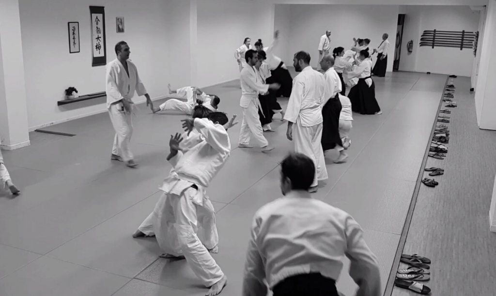 σεμινάρια aikido